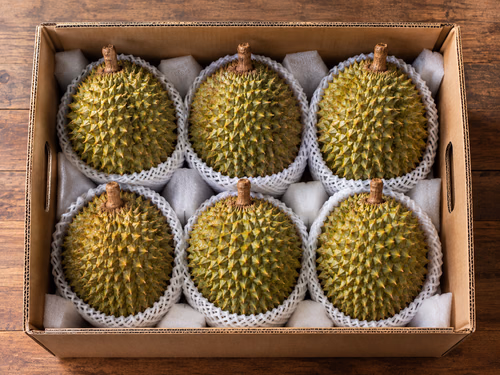 Durian dikemas rapi dalam kotak untuk pengiriman
